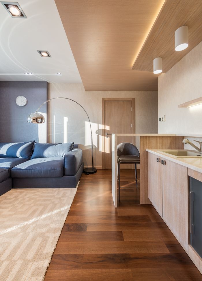 Comfortable sofa and lamp on carpet in living zone with counter in kitchen in studio apartment, Controsoffitto in cartongesso