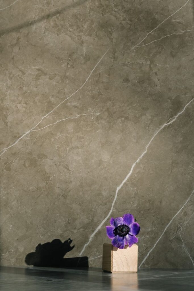 Minimalist still life of a purple anemone flower against a marble wall, perfect for design backgrounds, Grandi formati.
